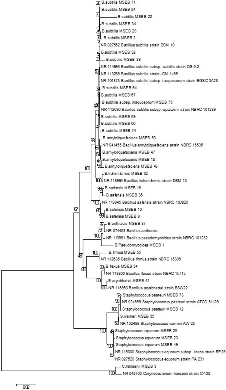 Fig. 3