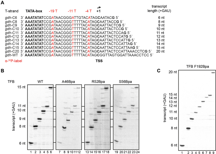 Figure 3.