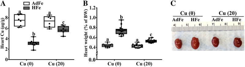 Fig. 7.