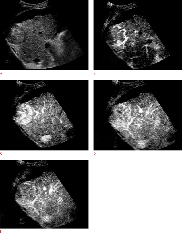 Fig. 5.