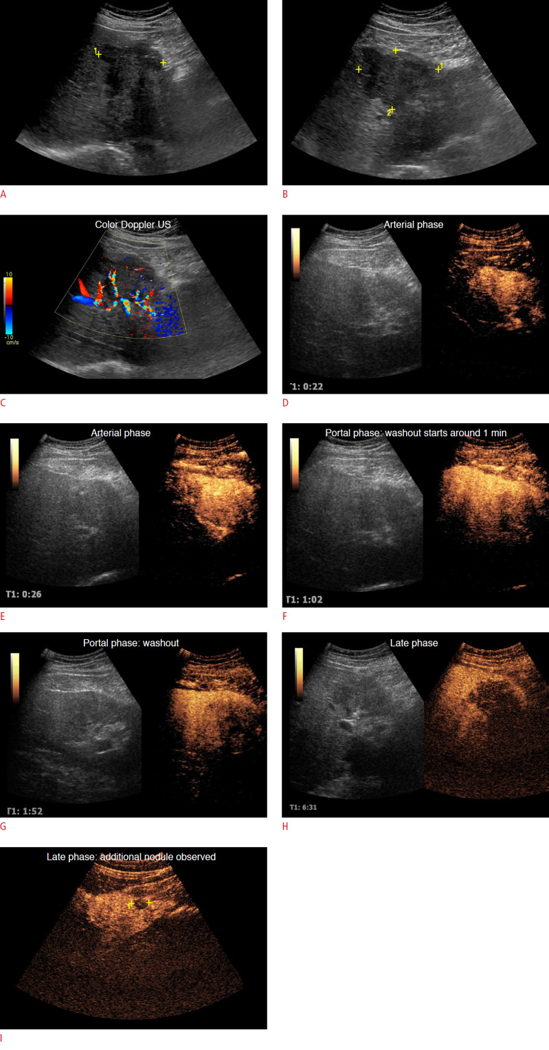 Fig. 8.