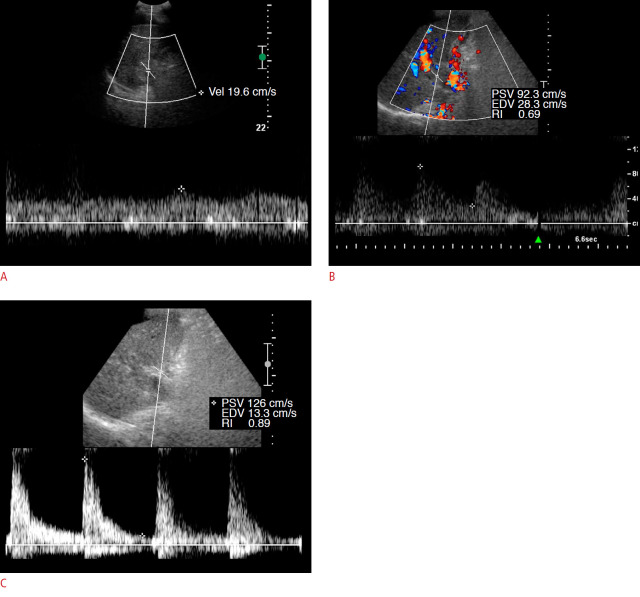 Fig. 9.