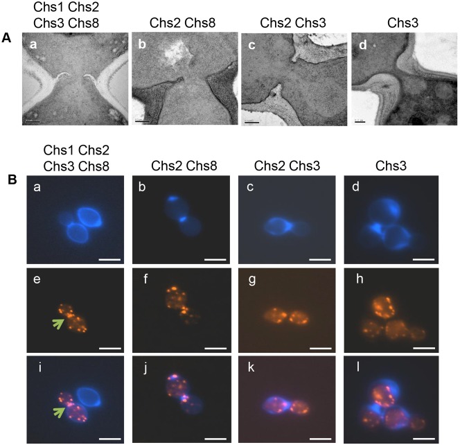 Fig. 4.