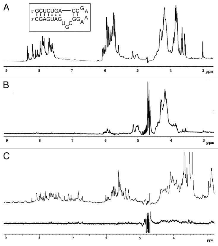 graphic file with name rna-10-1307-g3.jpg