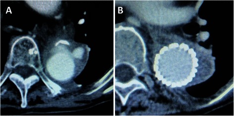 Fig. 6