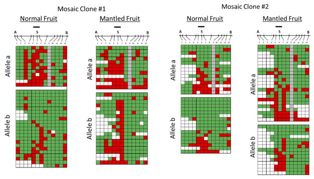 Extended Data Figure 5