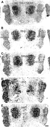 Fig. 9.
