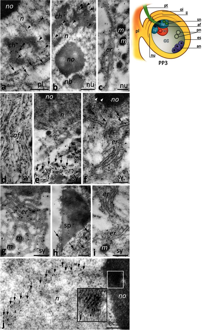 Fig. 8