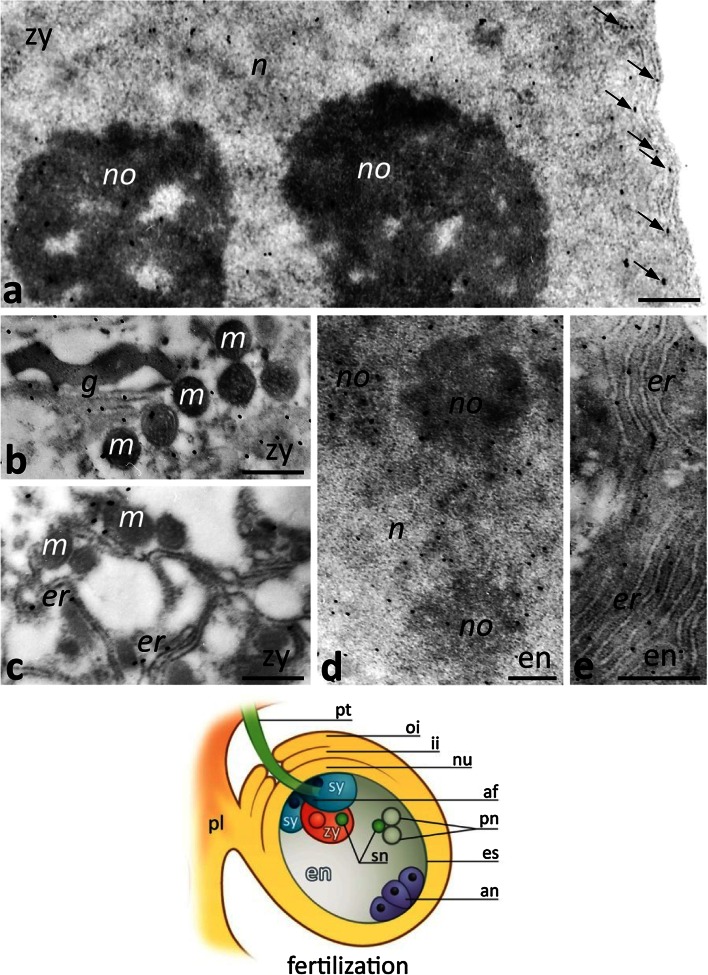 Fig. 9