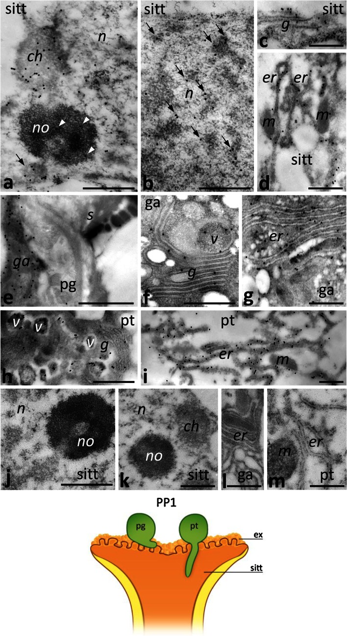 Fig. 7