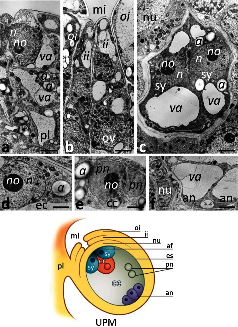 Fig. 4