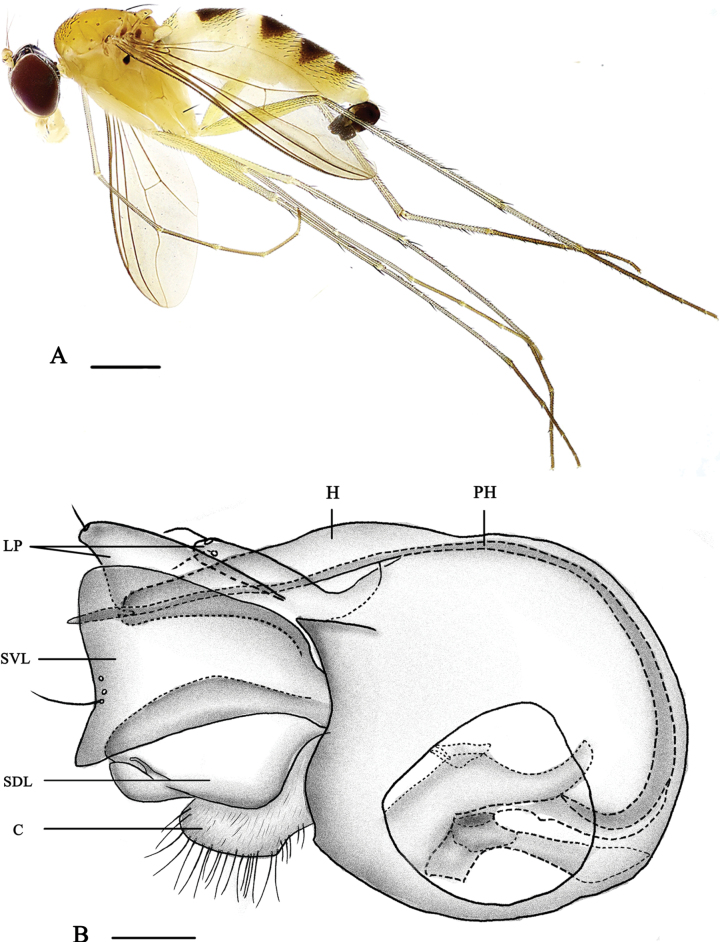 Figure 1.