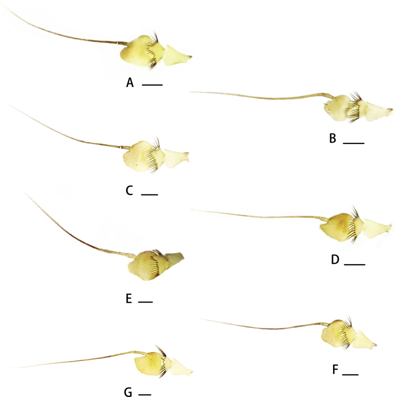 Figure 8.