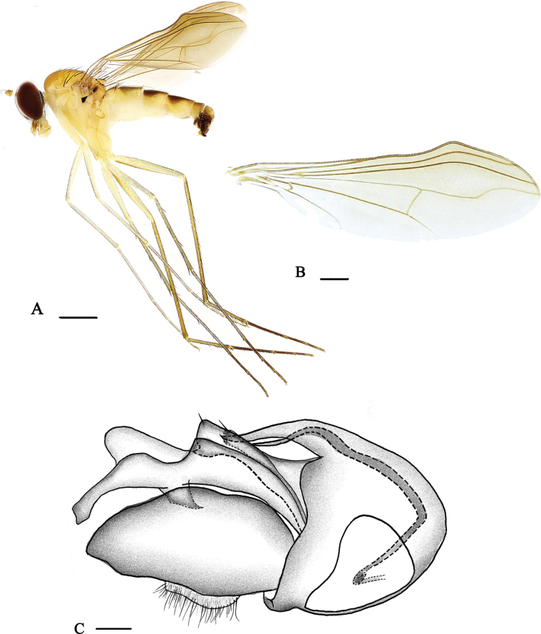 Figure 4.