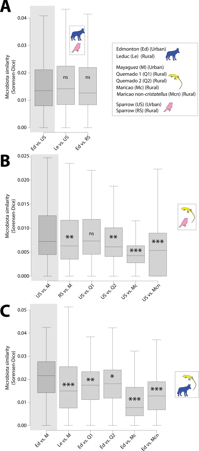 Figure 1—figure supplement 6.