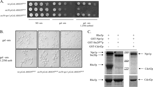 FIG. 3.