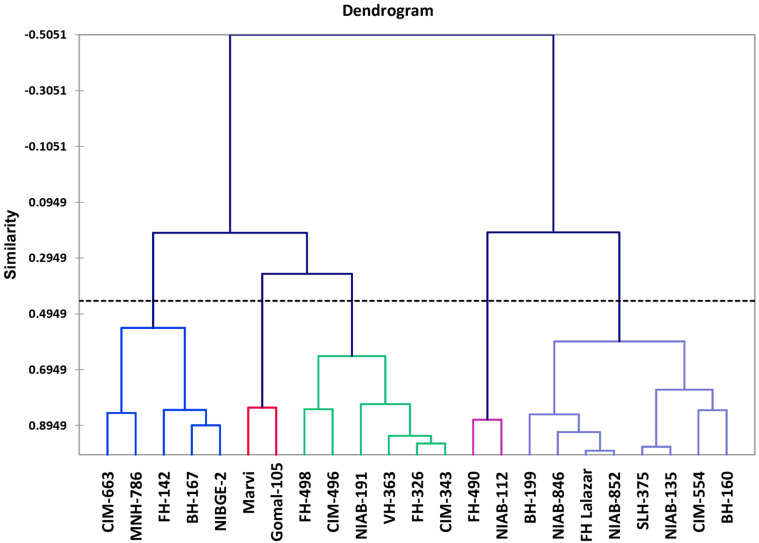 FIGURE 4