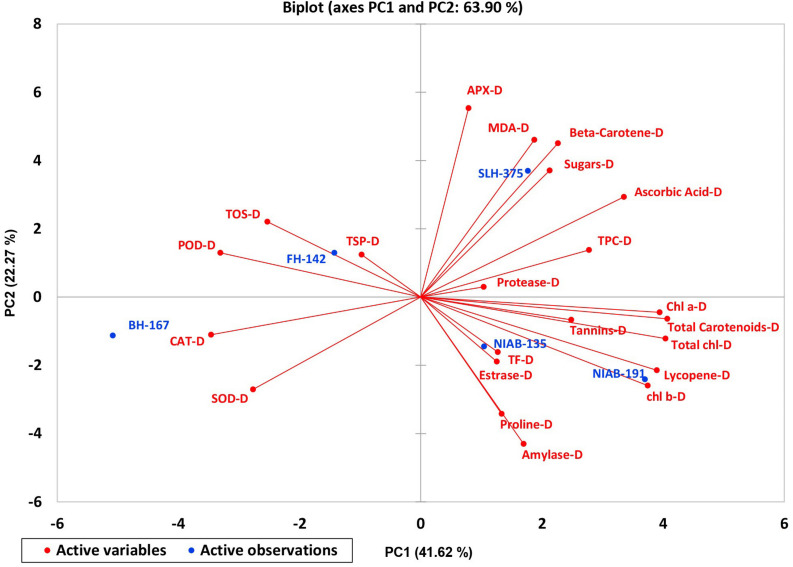 FIGURE 11