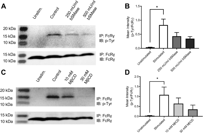 Figure 7