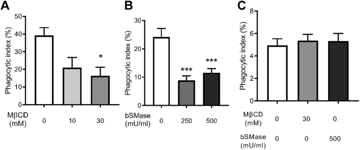 Figure 1