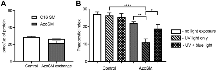 Figure 6