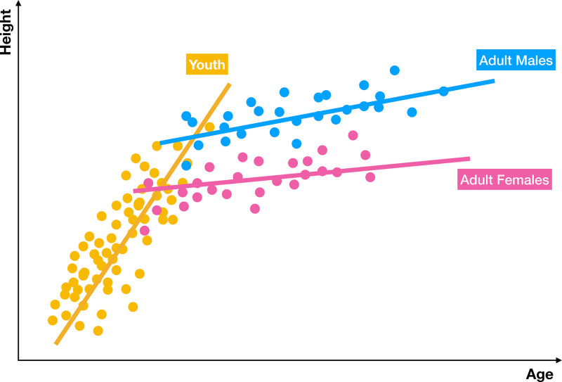 Graphic display of ensemble modeling. An ensemble model takes predictions from several specialized models and then combines them into a more accurate, hybrid prediction. Often, the prediction of the ensemble is better than the prediction of a single monolithic model. In this example, three separate models are trained for predicting height in terms of age for three different populations—youth, men, and women. The combined model produces better results than each model individually.