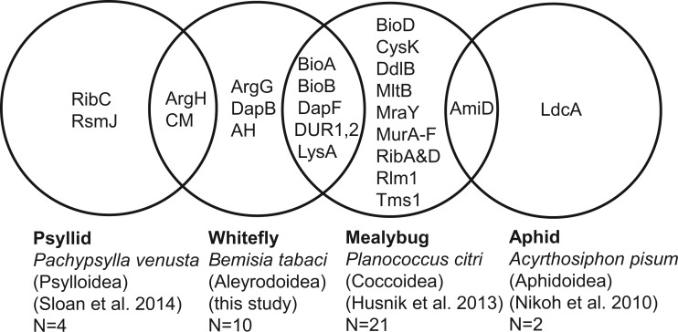 Fig. 4.—