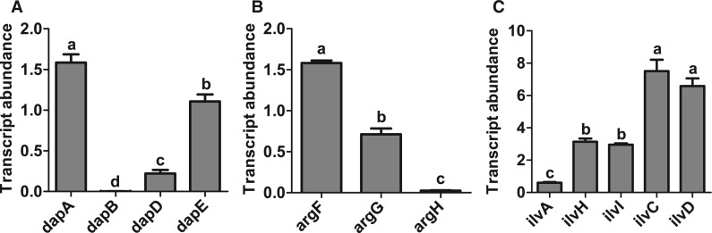 Fig. 2.—