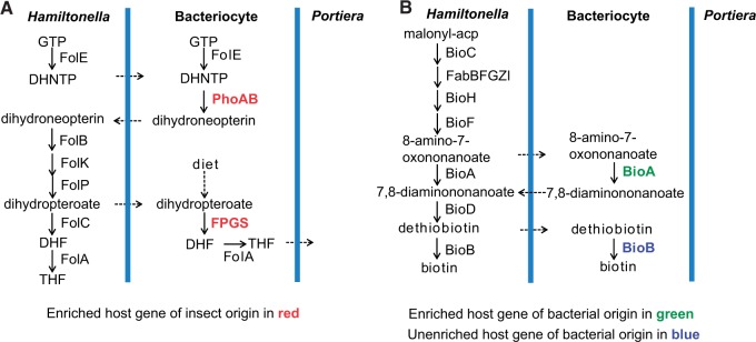 Fig. 3.—