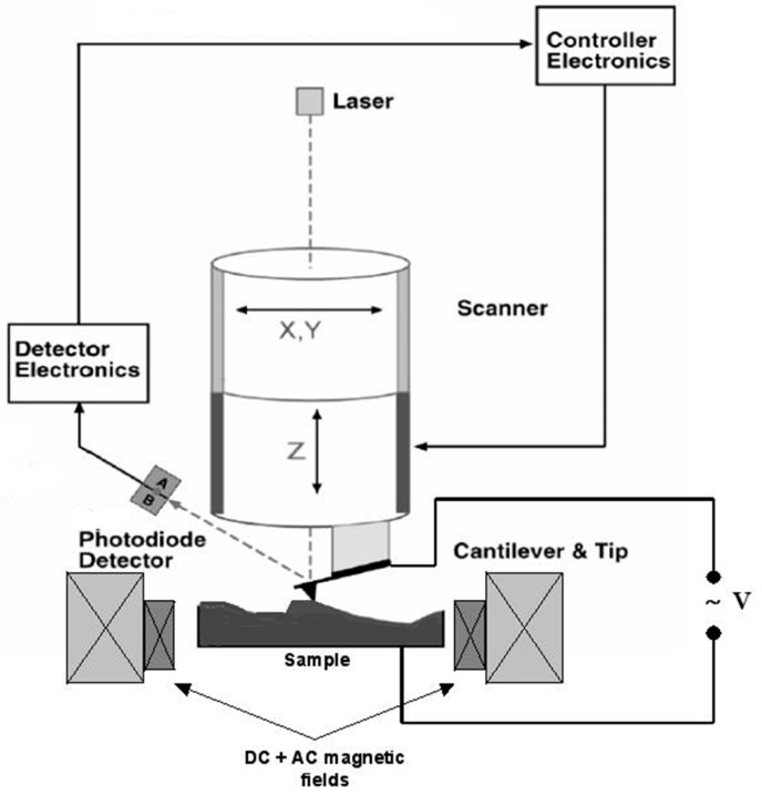 Figure 5