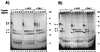 FIG. 9