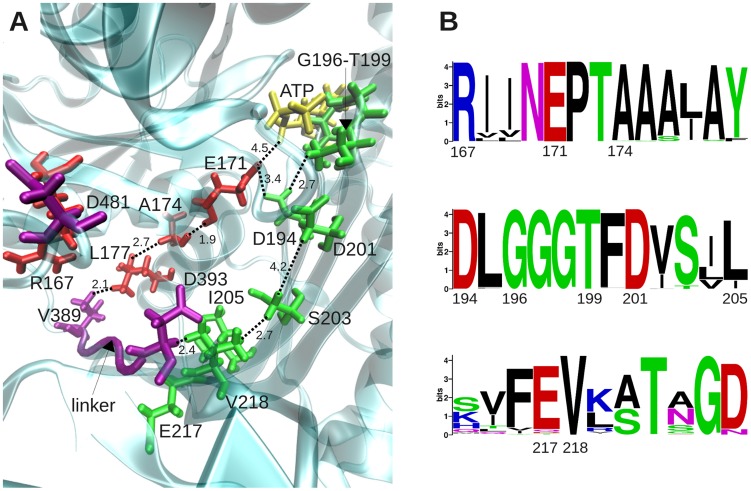 Figure 9