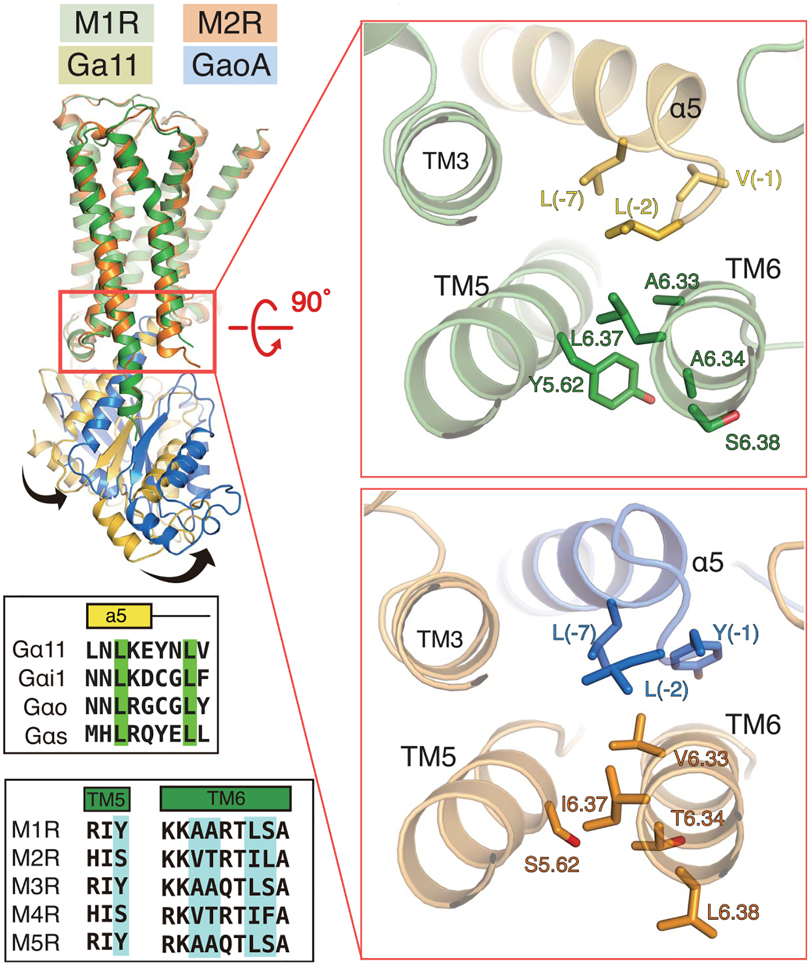 Fig. 6.