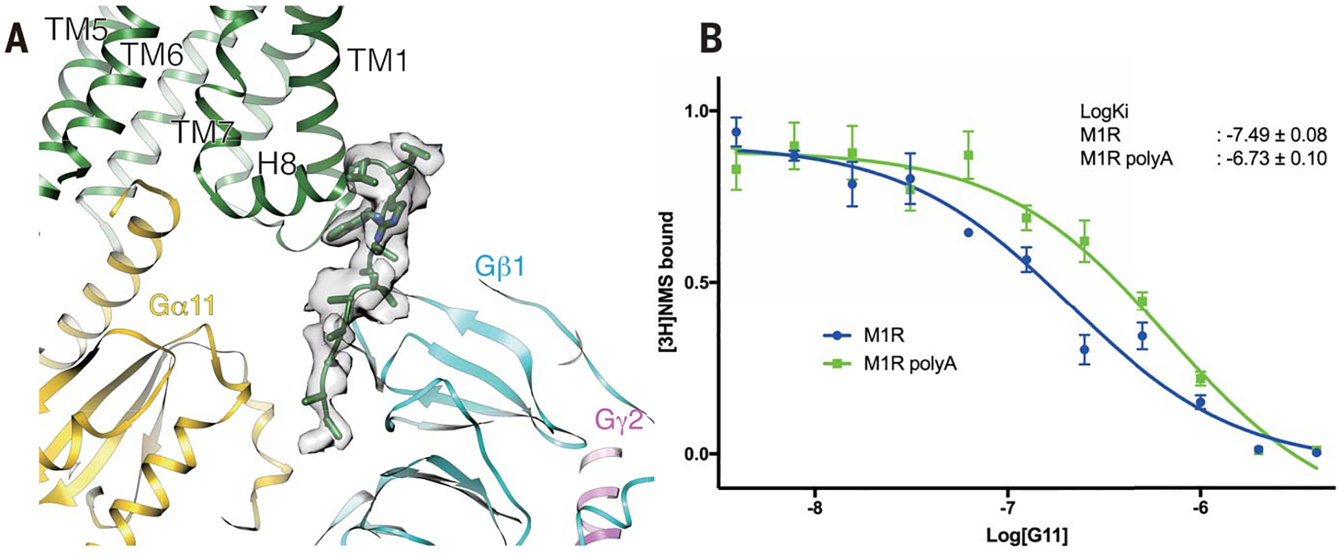 Fig. 5.