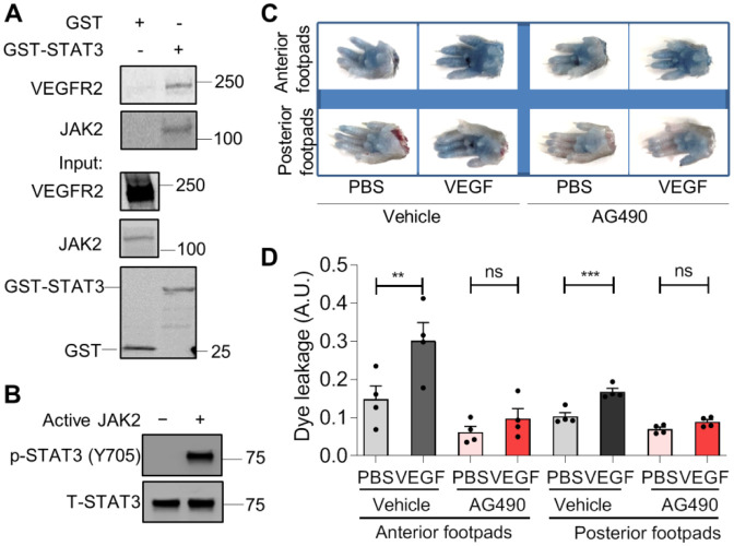 Figure 6: