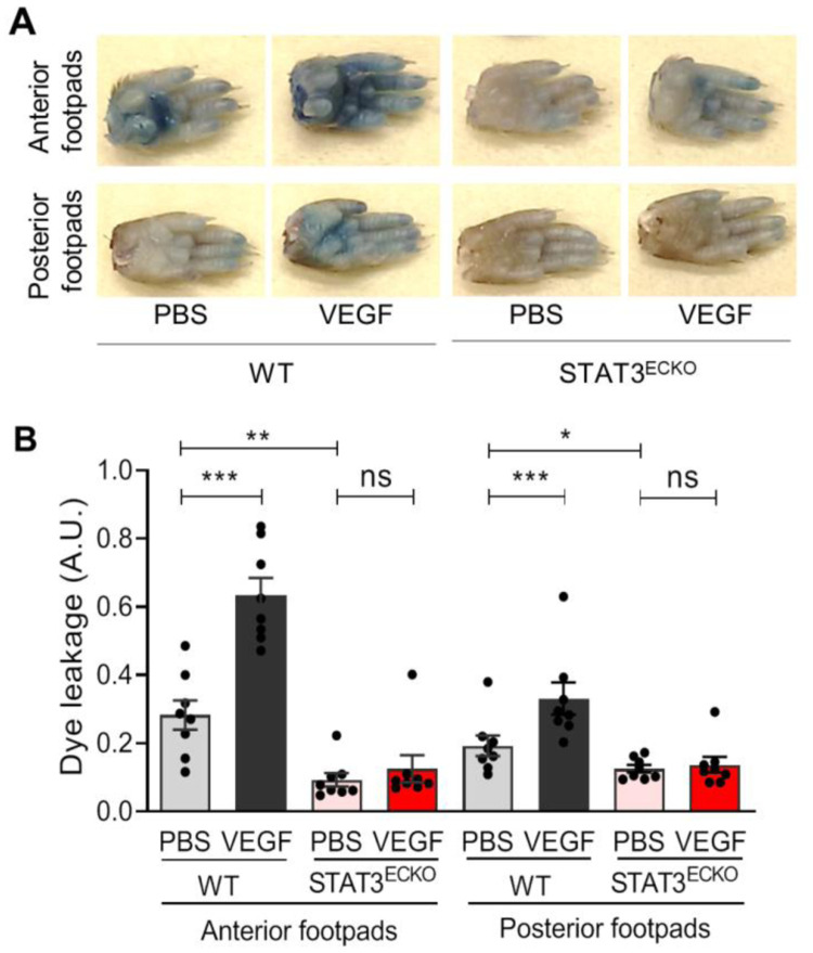 Figure 3: