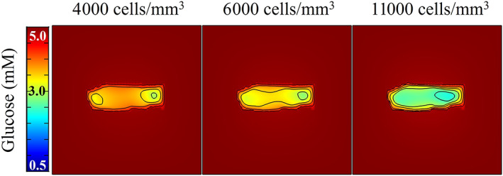 FIGURE 10