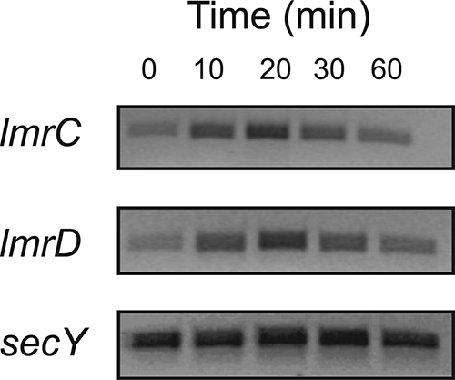 FIG. 5.