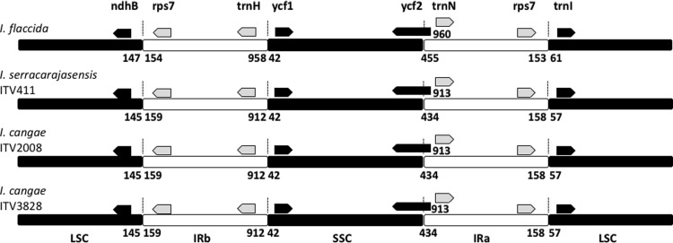 Fig 12