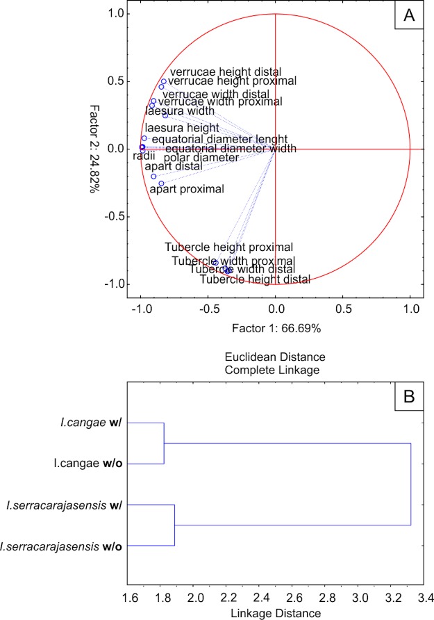 Fig 7