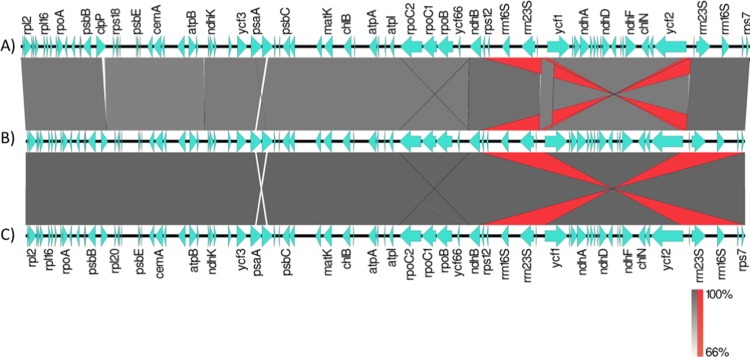 Fig 11