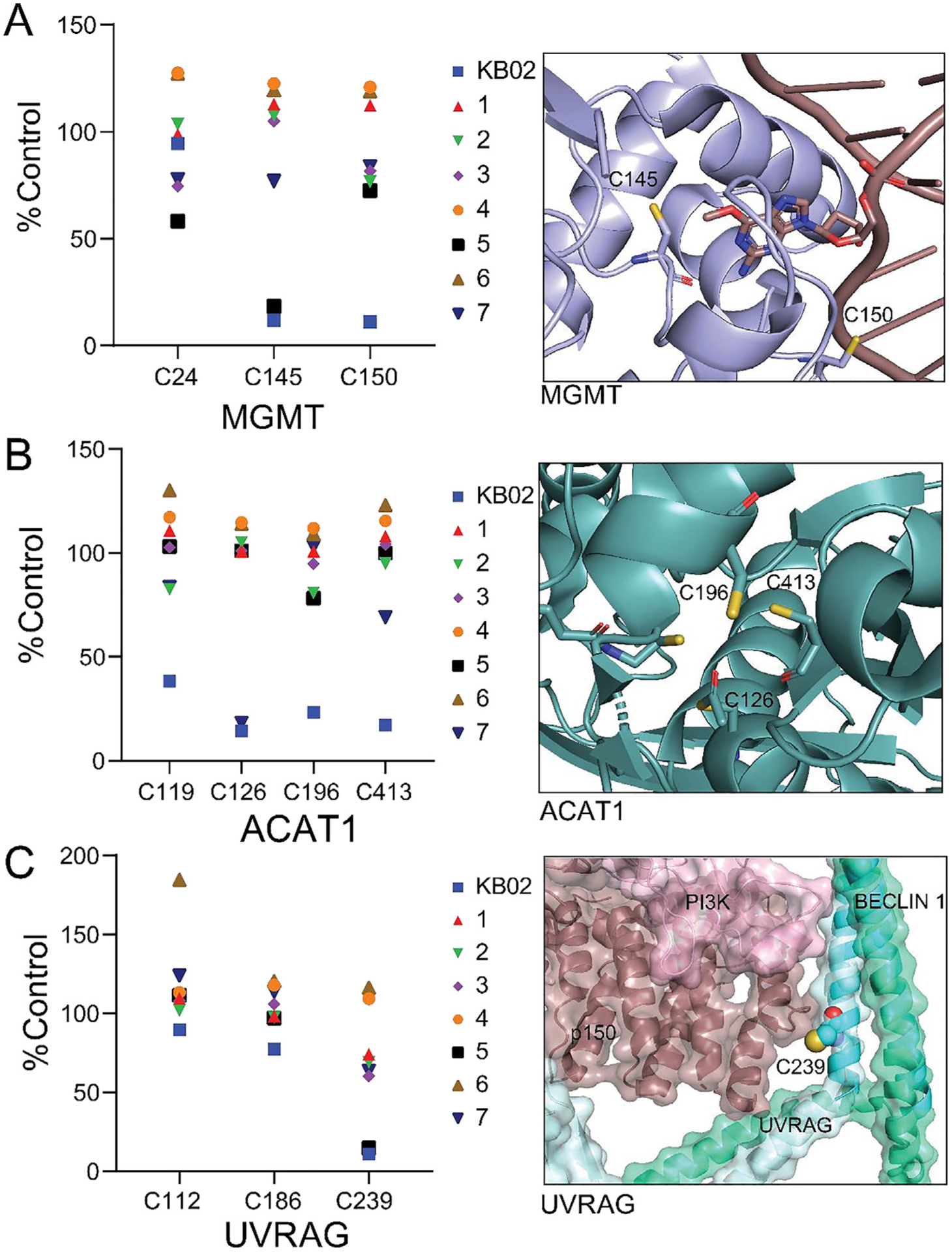 Fig. 4.