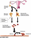 Figure 1: