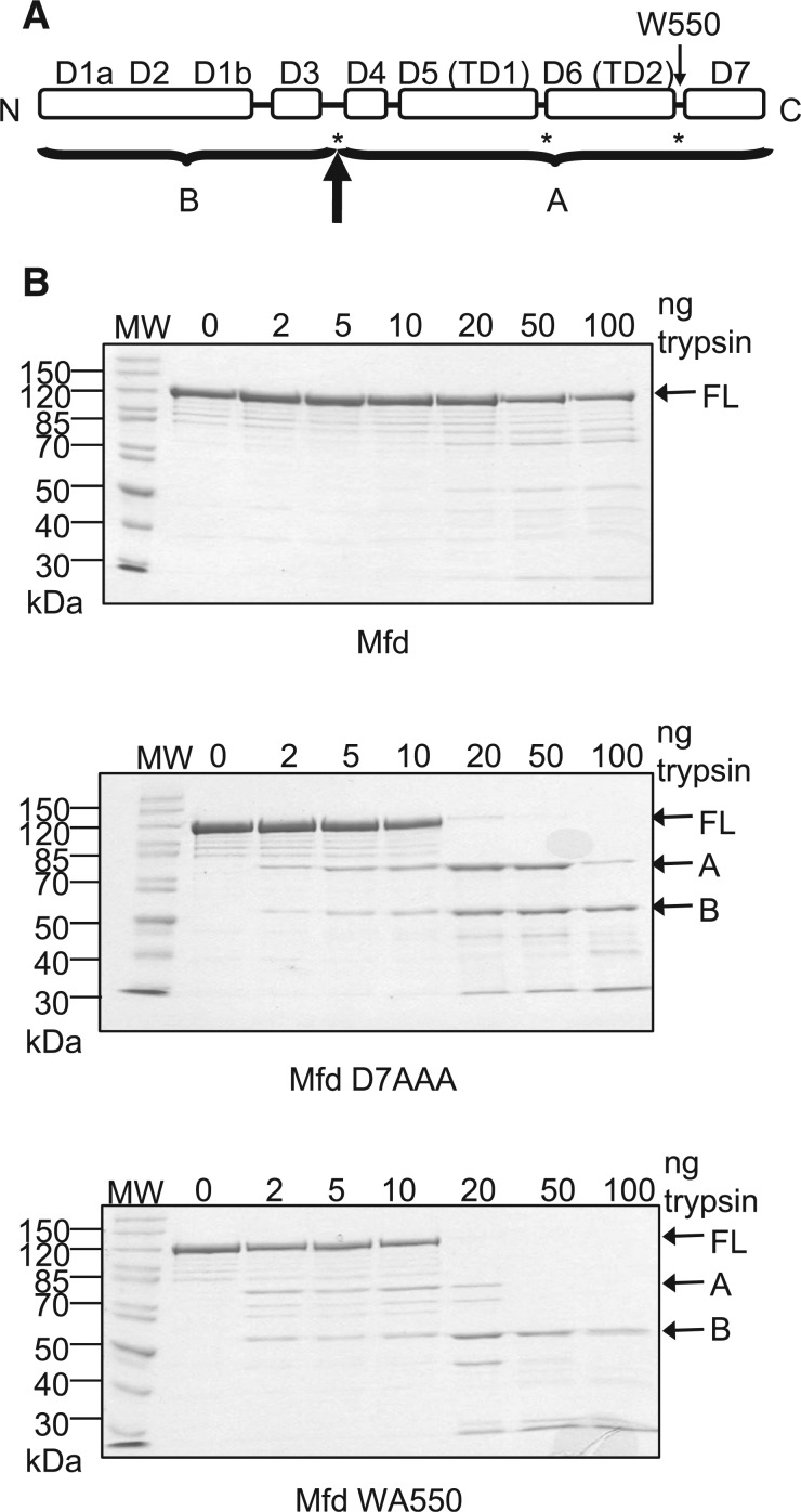 Figure 5.