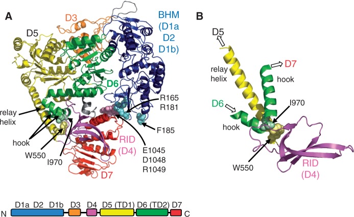 Figure 1.