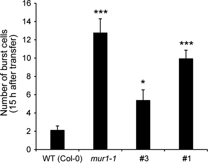 Figure 6