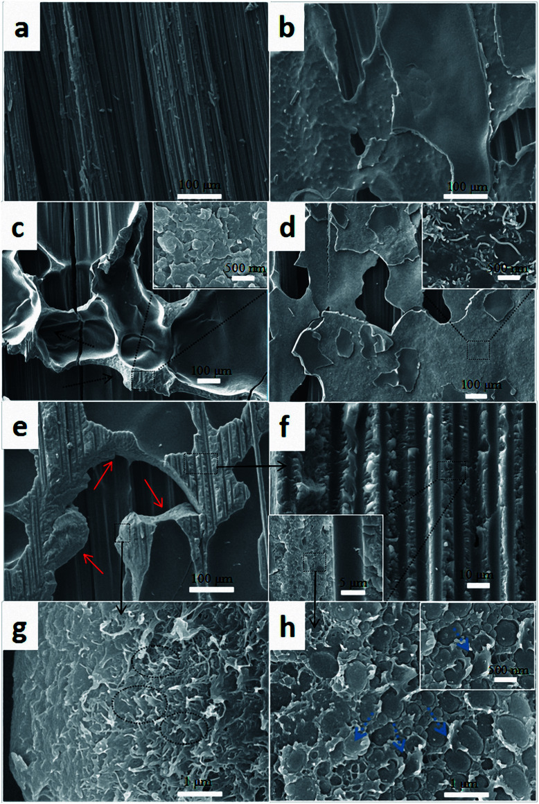 Fig. 12