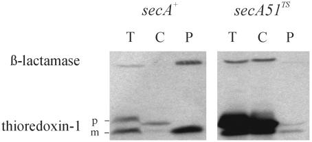 FIG.6.