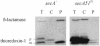 FIG.6.