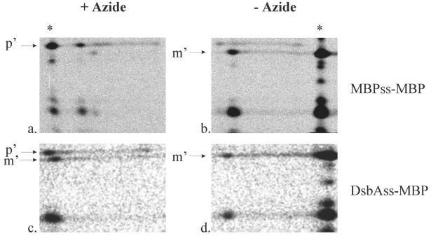 FIG. 5.